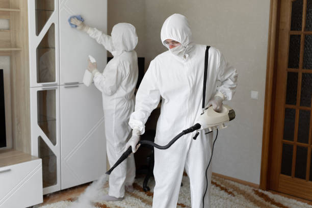 24/7 Emergency Odor Removal experts in Greenwich, NJ